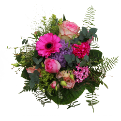 Strauss Violett/Rosa